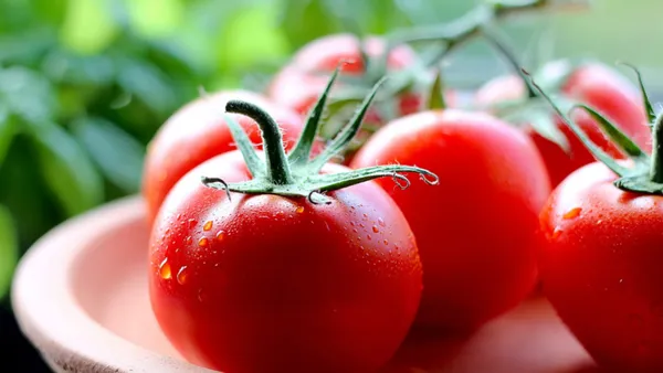 Wet Tomatoes