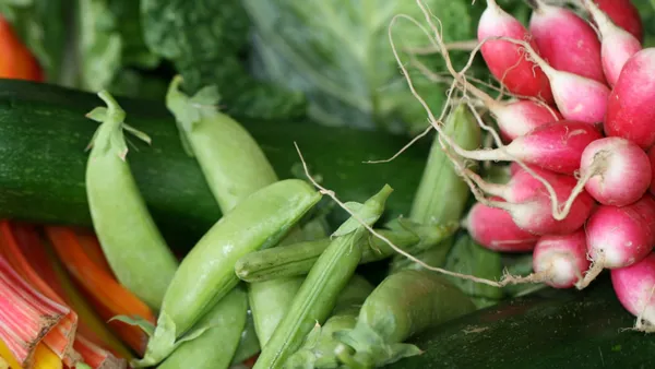 Fresh Vegetables