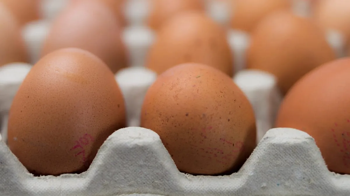 Raw eggs, high protein food