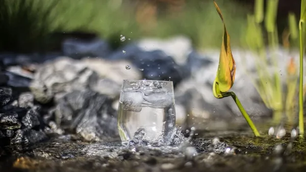 Glass of Water